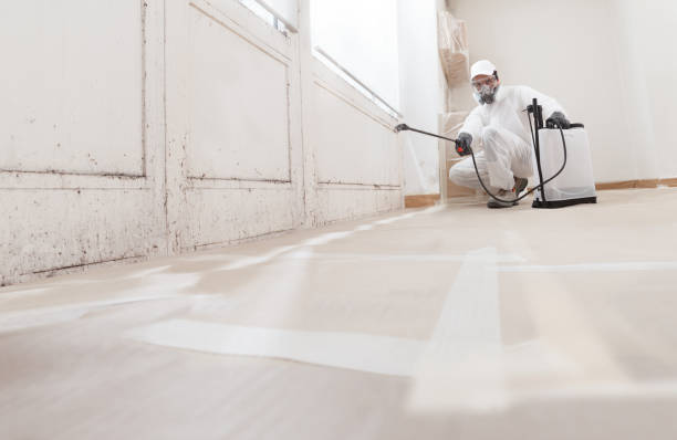 24/7 Emergency Commercial Mold Remediation experts in Darien, IL