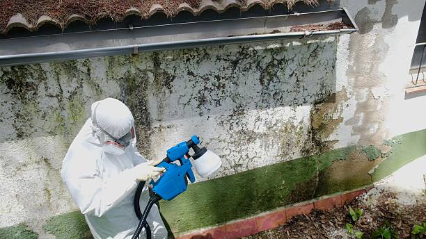 Top rated local Mold Remediation specialists in Darien, IL